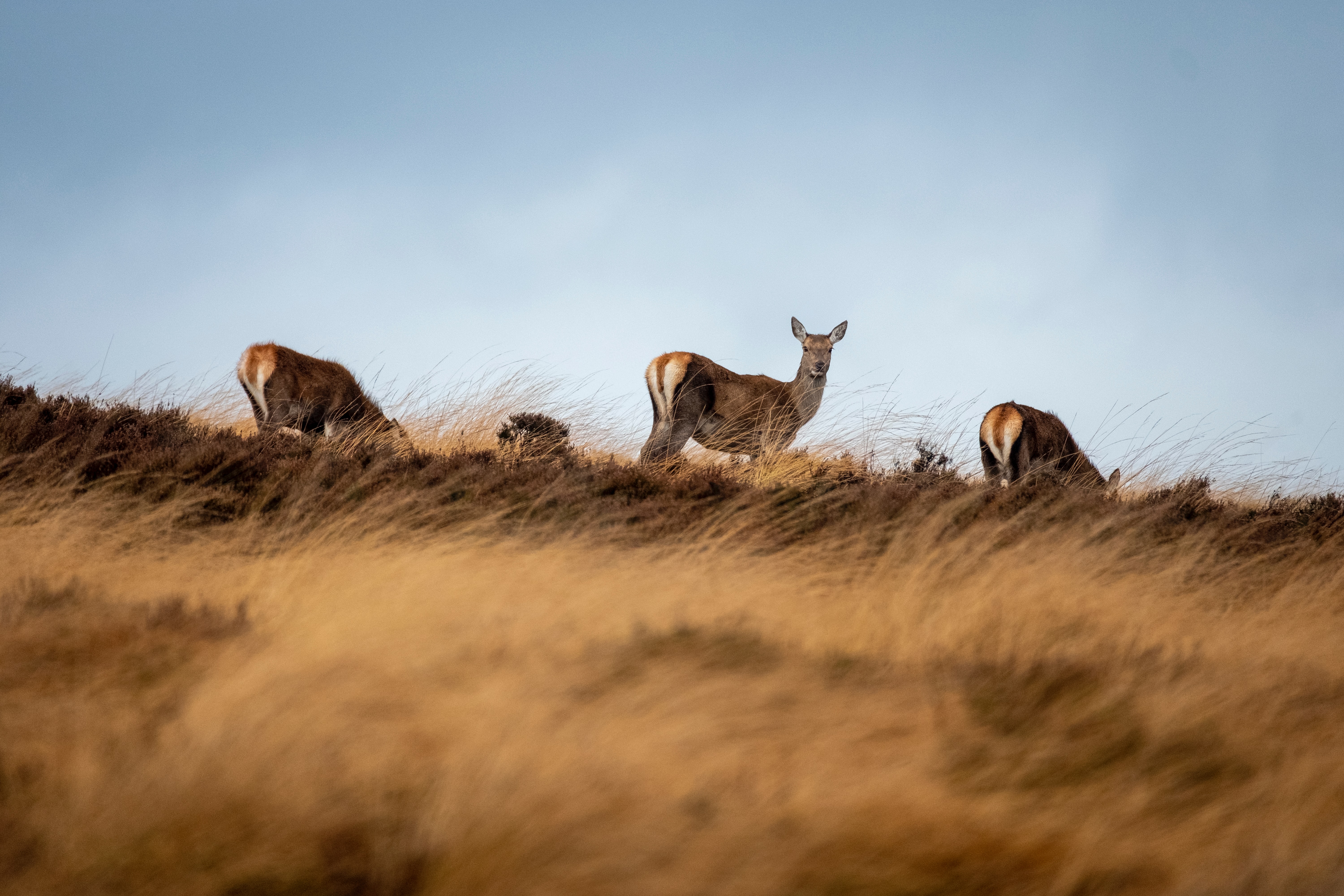 Jack Plant Ttiexeuw O8 Unsplash (1)