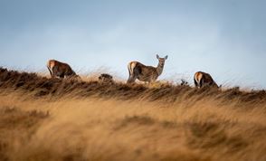 Jack Plant Ttiexeuw O8 Unsplash (1)