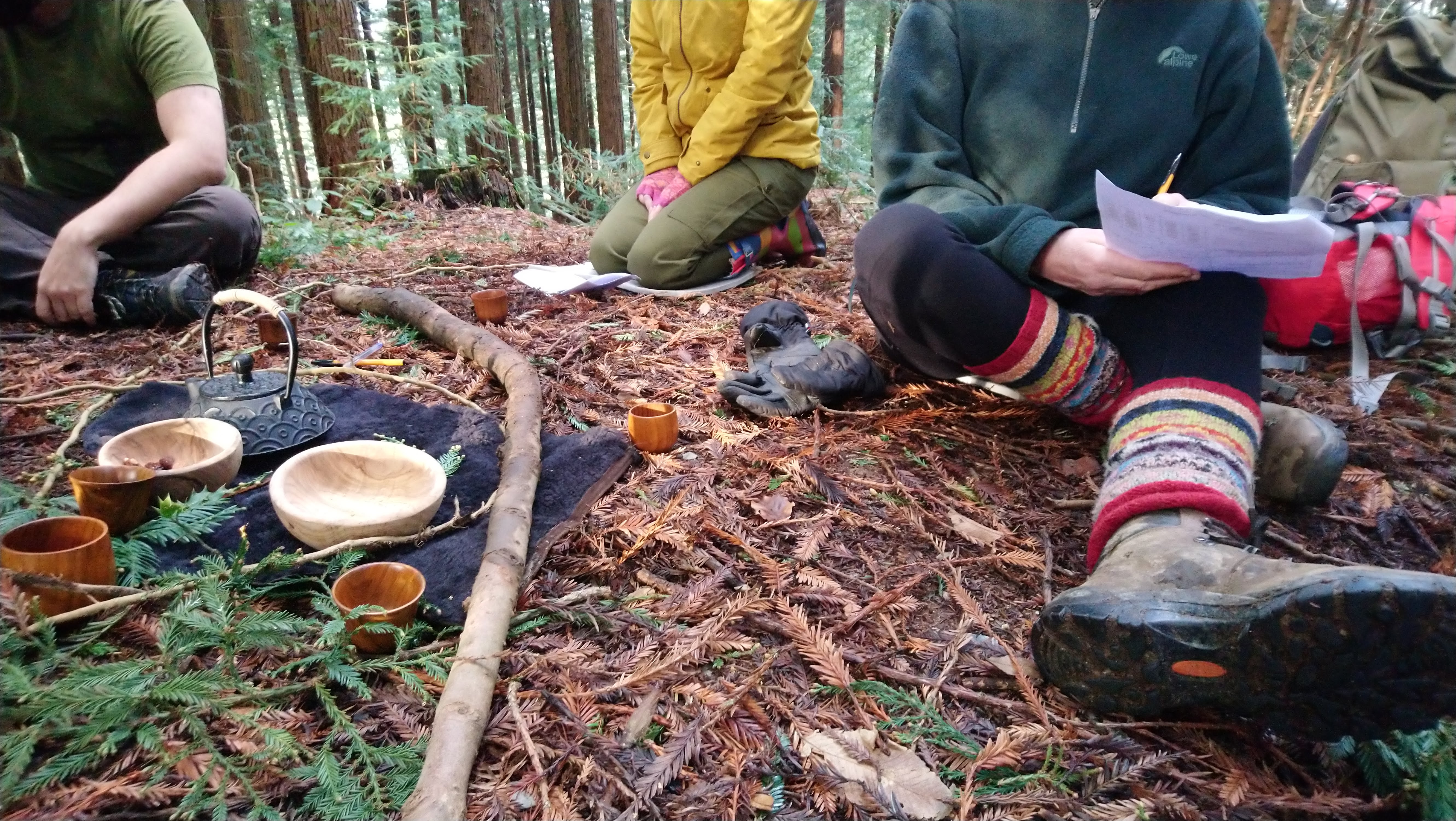 campsite-forest-therapy-devon