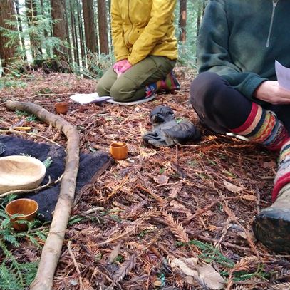 campsite-forest-therapy-devon