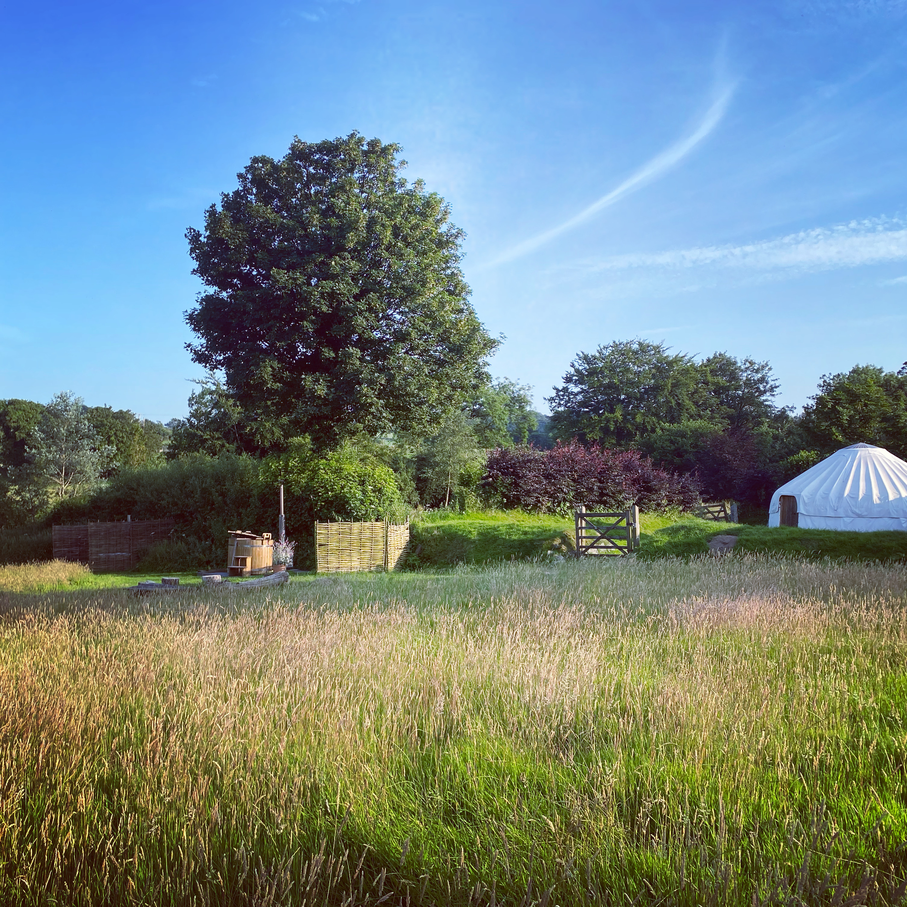 Devon-Yurt-Little-Links