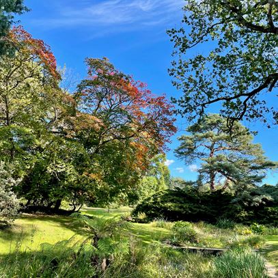 Naturebreak-Exbury-Green